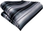 Dubulle Mens Paisely Silk Tie for Men Necktie and Pocket Square Set - Image 7